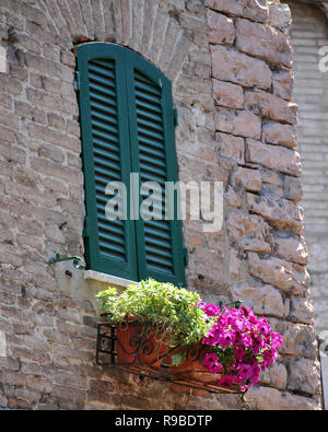 Flower Box Sotto La Finestra Italiana Foto Stock