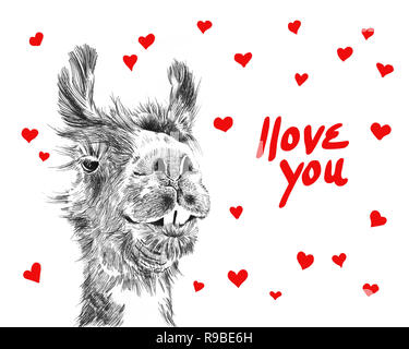 Happy valentines day illustrazione di carino llama circondato da cuori dire ti amo in rosso manoscritta tipografia lettere, divertimento scherzoso valentines Foto Stock