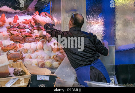 Un pesce monger dispone di un display di crostacei freschi, comprese le aragoste, gamberi e capesante su un letto di ghiaccio per la vendita in un ristorante nelle vicinanze. Foto Stock