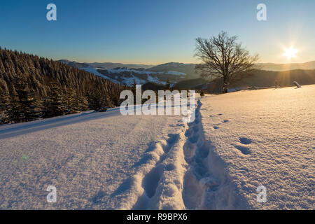 Inverno bellissimo paesaggio di Natale. Footprint umana tracciato in bianco cristallo di neve profonda in un campo vuoto, abete rosso della foresta di alberi, colline e montagne o Foto Stock