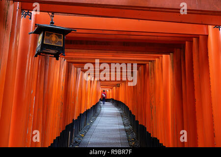 Persone sfocate in un bellissimo tunnel di torii porte in Fushimi Inari santuario di Kyoto, Giappone Foto Stock