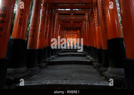 Madre e figlio in giacche gialle nella bellissima tunnel di torii porte in Fushimi Inari santuario di Kyoto, Giappone Foto Stock