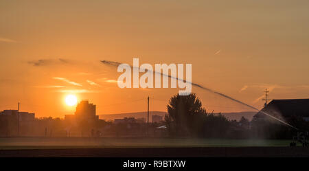 Irrigazione di campi al tramonto Foto Stock