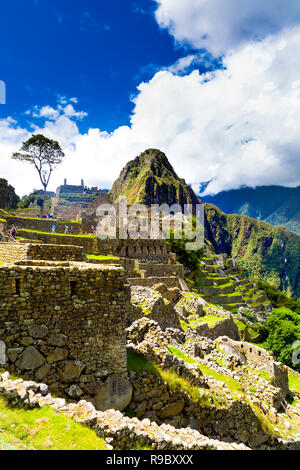 Vista della antica città Inca di Machu Picchu e affacciato sul Monte Huayna Picchu, Valle Sacra, Perù Foto Stock