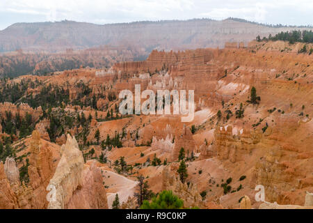 Close-up dell'ago a forma di struttura di montagna al Parco Nazionale di Bryce Canyon, Utah, Stati Uniti d'America durante il tramonto Foto Stock