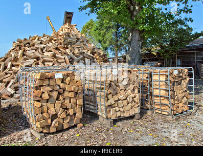 Impilati tagliati & split 'Oak' legna da ardere, open-end raccoglitori con pricetag, legna da ardere operation & sales cantiere. Foto Stock
