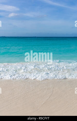 Aruba Beach - Bellissima spiaggia sul Mar dei Caraibi e dell'isola di Aruba - la calma del mare turchese con acquamarina e oceano blu acqua Foto Stock