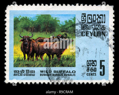 Con timbro postale timbro da Ceylon in animali selvatici serie rilasciato in 1970 Foto Stock