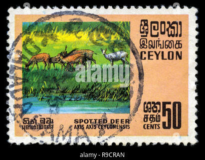 Con timbro postale timbro da Ceylon in animali selvatici serie rilasciato in 1970 Foto Stock