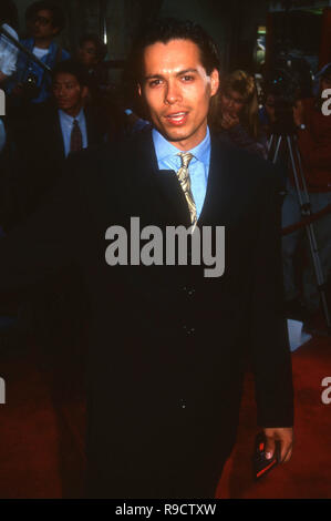 HOLLYWOOD, CA - 26 Maggio: Attore Danny Quinn assiste TriStar Pictures' Cliffhanger' Hollywood Premiere il 26 maggio 1993 presso il Teatro Cinese di Mann in Hollywood, la California. Foto di Barry re/Alamy Stock Photo Foto Stock