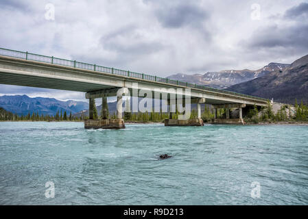 Saskatchewan Varcando il fiume nel Parco Nazionale di Banff. Foto Stock