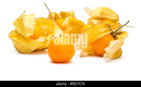 Fiori e frutti di Fisalis (Physalis peruviana) isolato su sfondo bianco. Vista frontale. Foto Stock