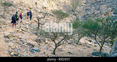 Ras Al Khaimah Emirati Arabi, 13 Gennaio 2017: un gruppo di escursionisti su un sentiero in montagne Hajar a Ras Al Khaimah Emirati arabi uniti Foto Stock