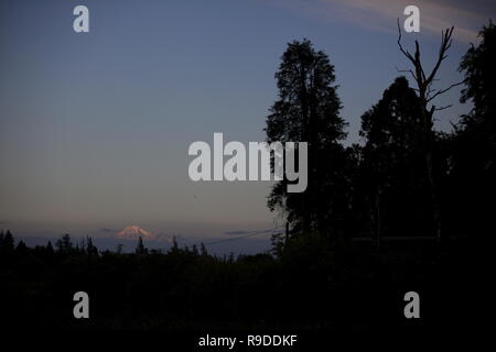 Mt. Baker dietro a Maple Ridge Foto Stock