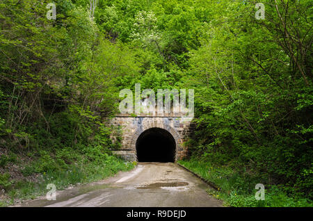 Vecchia strada di tunnel nella foresta Foto Stock