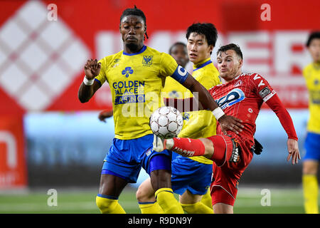 Sint Truiden, Belgio. 22 Dic, 2018. SINT TRUIDEN, Belgio - 22 dicembre : Jordan Botaka avanti di Sint-Truiden, Daichi Kamada centrocampista di Sint-Truiden e Kristof D'Haene di Kv Kortrijk lotta per la palla durante la Jupiler Pro League Match Day 20 tra STVV e KV Kortrijk sul credito Dece: Pro scatti/Alamy Live News Foto Stock