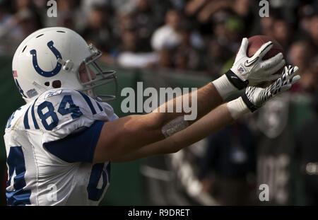 Oakland, la California, Stati Uniti d'America. Il 26 dicembre, 2010. Indianapolis Colts stretto fine Giacobbe Tamme #84 catture quarterback Peyton Manning #18 passano la domenica, 26 dicembre 2010, a Oakland-Alameda County Coliseum a Oakland, in California. Il Colts ha sconfitto i raider da 31-26. Credito: Al di Golub/ZUMA filo/Alamy Live News Foto Stock