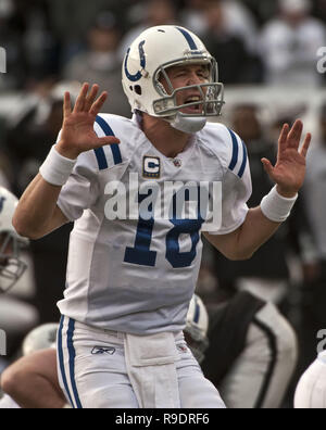 Oakland, la California, Stati Uniti d'America. Il 26 dicembre, 2010. Indianapolis Colts quarterback Peyton Manning #18 Domenica, 26 dicembre 2010, a Oakland-Alameda County Coliseum a Oakland, in California. Il Colts ha sconfitto i raider da 31-26. Credito: Al di Golub/ZUMA filo/Alamy Live News Foto Stock