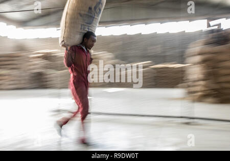 (181223) -- PECHINO, Dic 23, 2018 (Xinhua) -- Un lavoratore svolge un pacchetto di chicchi di caffè a SMS Plc enterprise ad Addis Abeba, capitale dell Etiopia, Dic 12, 2018. Caffè radicata in Etiopia è il materiale grezzo di vari caffe bevande favorite da persone di tutto il mondo. Si è detto che il caffè è stato scoperto da sheepherder in Kaffa, southwestern in Etiopia, da cui il nome del caffè si è evoluta. I chicchi di caffè provenienti da Etiopia vengono esportati in Cina principalmente dal mare. Private del picciolo verde i chicchi di caffè sono trasportati al porto di Gibuti su strada e per ferrovia e poi dopo circa 21 giorni di mare essi finall Foto Stock