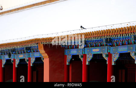 Pechino, Cina. 23 Dic, 2018. Questo file non datata mostra fotografica di un uccello in appoggio sul tetto del Palazzo Museo dopo la neve a Pechino Capitale della Cina. Credito: Il Museo del Palazzo/Xinhua/Alamy Live News Foto Stock