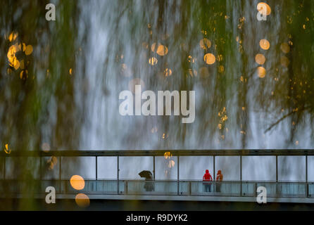 Wolfsburg, Germania. 23 Dic, 2018. Passanti in antipioggia e ombrelloni attraversare un ponte. Nella parte anteriore del supporto IT di alberi, che sono decorate con luci di Natale. Credito: Peter Steffen/dpa/Alamy Live News Foto Stock