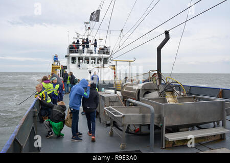 Pesca di gamberetti nave sul mare con passeggeri turistici durante le giornate di cattivo tempo nei Paesi Bassi, Europa Foto Stock