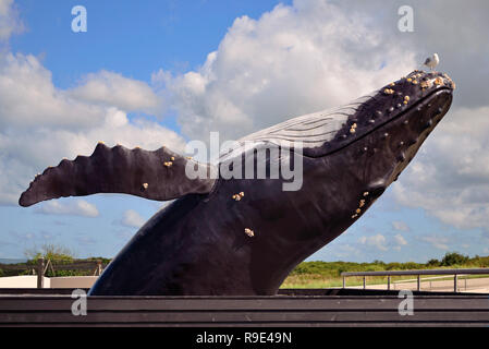 Exel, Paesi Bassi, 6.15.2017 vita realistico di dimensioni jumping baleen Humpback Whale figura con guarnizione sulla testa a mare Ecomare santuario degli animali e natura mus Foto Stock