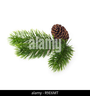 Verde di ramoscelli di conifere e coni su uno sfondo bianco. Capodanno e Natale. Foto Stock