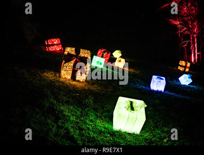 Avvolto illuminato regali di Natale tumbling discesa da una collina sul Palazzo di Blenheim natale luce trail. Dicembre 2018 Foto Stock