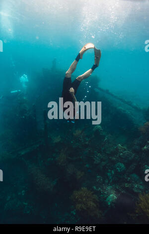 Freediver nuoto al fondo della barriera corallina con pesce vicino wreckship Foto Stock