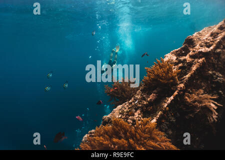 Freediver esplora le profondità del mare, vista dal relitto della nave Foto Stock