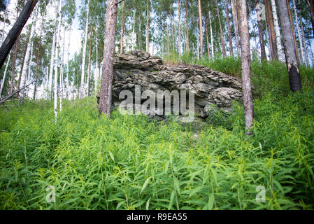 Vista su taiga. Rocce nella foresta di Siberia Foto Stock