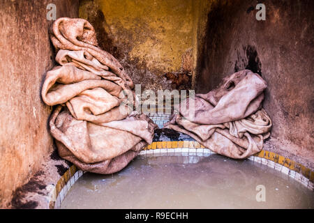 Processiong di pelle grezza a concerie di Fez, Marocco, Africa Foto Stock
