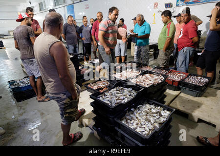 Tunisia: porto di pesca. Lo scarico del pesce e l'asta del pesce Foto Stock