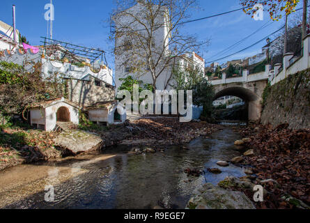 Fiume attraverso Arriate Foto Stock