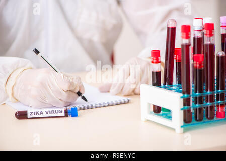 Bel giovane assistente di laboratorio test di campioni di sangue in ospedale Foto Stock