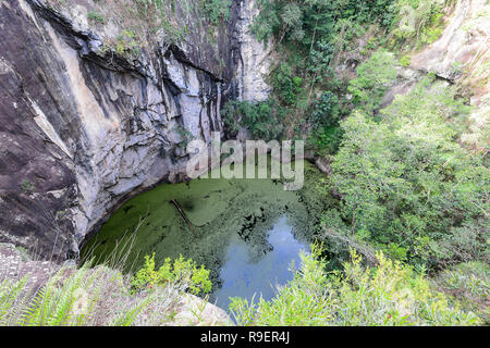 Il cratere è un diatreme Hypipamee nel Parco Nazionale, Atherton altipiano, estremo Nord Queensland, FNQ, QLD, Australia Foto Stock