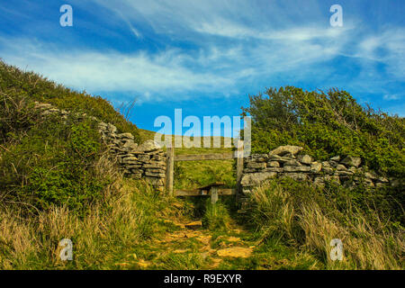 Durlston Country Park, Swanage, Dorset, Regno Unito Foto Stock