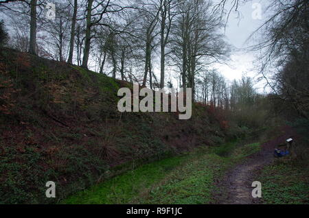 Il Tamigi e Severn Canal. La Macmillan modo. A lunga distanza trail. Gloucestershire. Cotswolds. In Inghilterra. Regno Unito Foto Stock