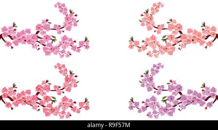 Sakura. Set. Quattro rami con diverse sfumature di fiori. Le foglie e i boccioli di ciliegio. Su uno sfondo bianco. illustrazione Illustrazione Vettoriale