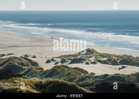 Vista di un gruppo di piloti sui loro cavalli e uno stormo di uccelli nella distanza su di una spiaggia nei pressi di una curva di autostrada 101 al largo della costa della Oregon, Stati Uniti d'America Foto Stock