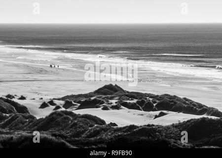 Vista di un gruppo di piloti sui loro cavalli e uno stormo di uccelli nella distanza su di una spiaggia nei pressi di una curva di autostrada 101 al largo della costa della Oregon, Stati Uniti d'America Foto Stock