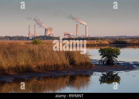 Una vista attraverso la palude salata zone umide della Duke Energy Crystal River complesso su un 4.700 acri vicino alla bocca del fiume di cristallo in Florida Foto Stock