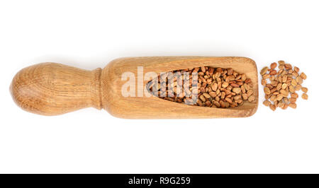 Fenugreek semi nel convogliatore di legno isolato su sfondo bianco vista dall'alto. Foto Stock