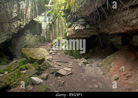 Resti di Lupo della tana (tedesco: Wolfsschanze), il Führer presso la sede centrale di Adolf Hitler, Rastenburg, la Masuria - Polonia, Europa Foto Stock