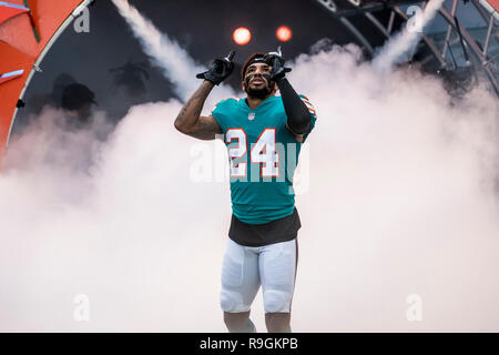 Giardini di Miami, FL, Stati Uniti d'America. 23 Dic, 2018. Tony McTyer #24 di Miami è introdotta prima della NFL partita di calcio tra i delfini di Miami e Jacksonville Jaguars al Hard Rock Stadium di Miami FL. I giaguari hanno sconfitto i delfini 17-7. Credito: csm/Alamy Live News Foto Stock