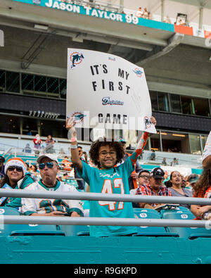 Giardini di Miami, FL, Stati Uniti d'America. 23 Dic, 2018. Un Delfini di Miami la ventola prima di NFL partita di calcio tra i delfini di Miami e Jacksonville Jaguars al Hard Rock Stadium di Miami FL. I giaguari hanno sconfitto i delfini 17-7. Credito: csm/Alamy Live News Foto Stock