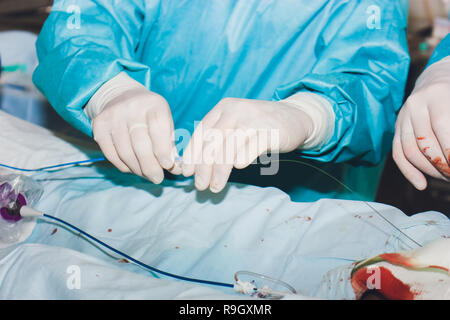 Il team medico di chirurghi in ospedale facendo minimamente invasivo di interventi chirurgici. La chirurgia sala operatoria con apparecchiature di elettrocauterizzazione per cardiovas Foto Stock