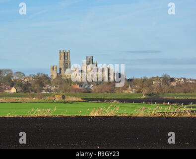 Cattedrale di Ely (con Maltings davanti e nero fen terreno in primo piano), Ely, Cambridgeshire, England, Regno Unito Foto Stock