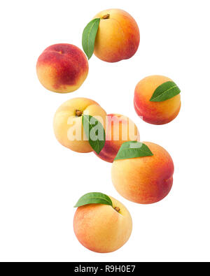La caduta di Peach isolati su sfondo bianco, percorso di clipping, tutta la profondità di campo Foto Stock